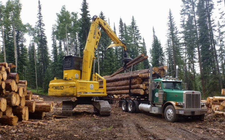 A log loader places dead standing timber on a truck.